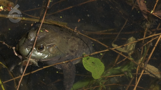 昆明信息港/cnkmxxg