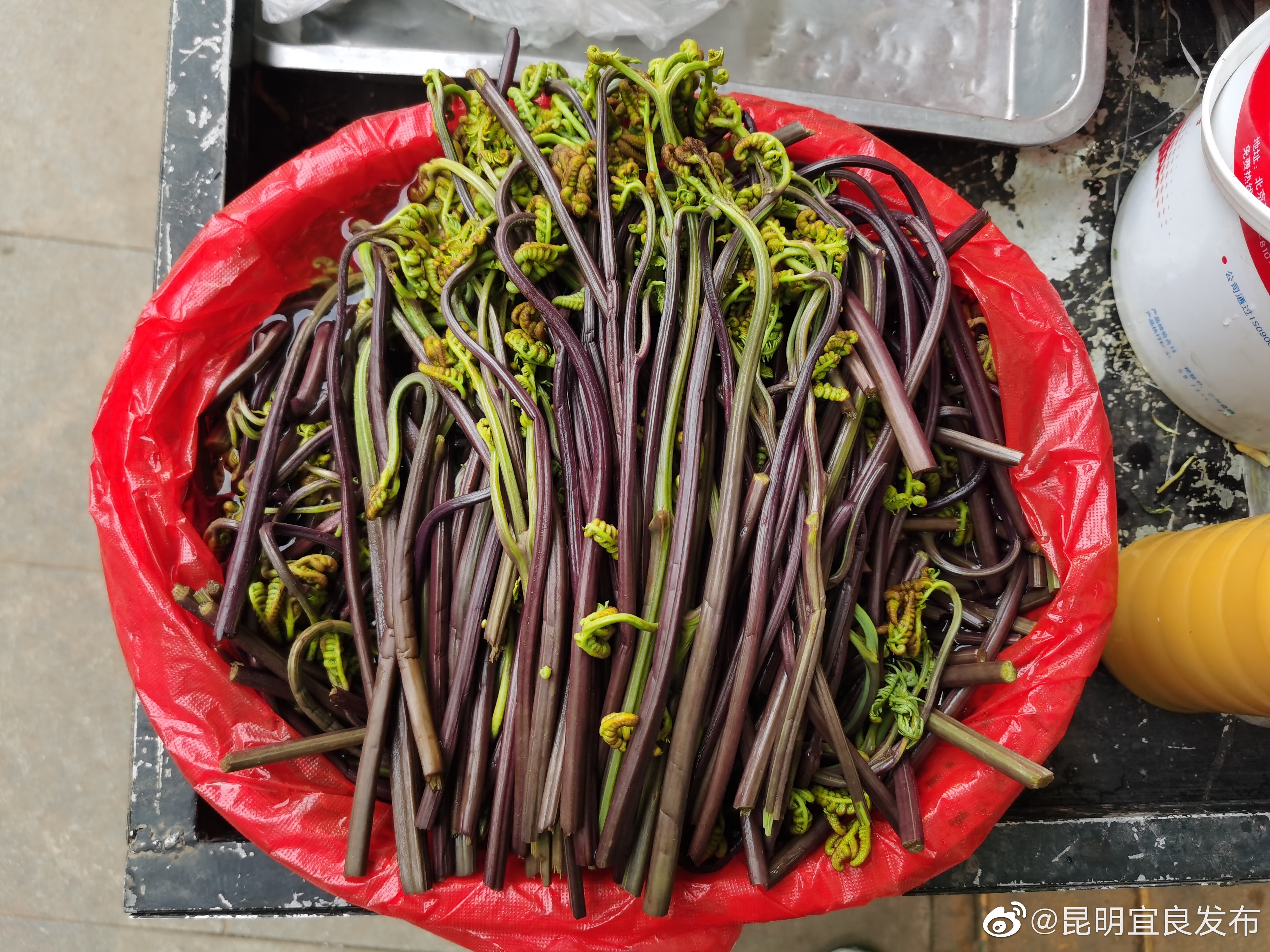 “昆明宜良发布”微博