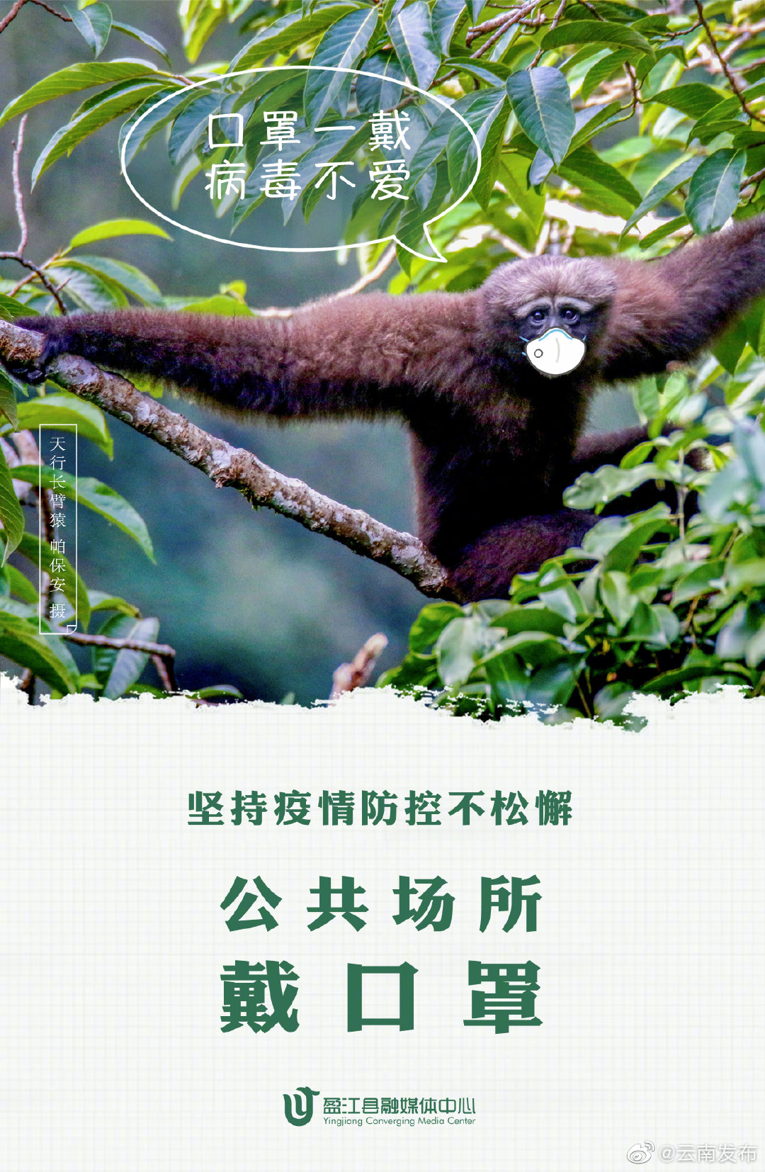 “云南发布”微博