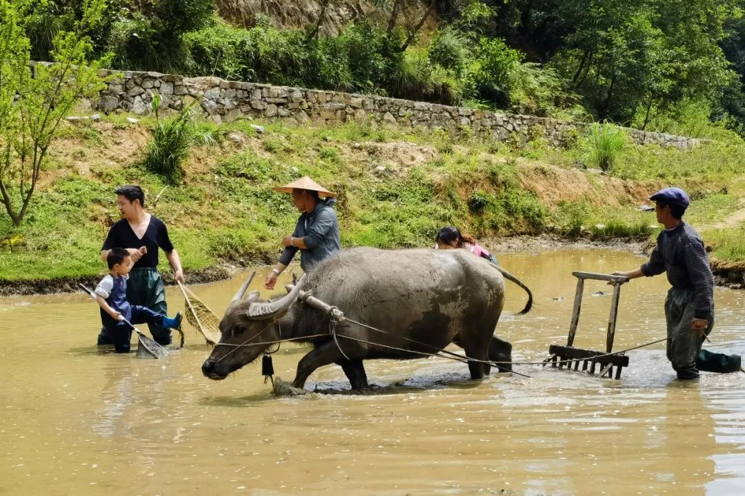 红河文旅