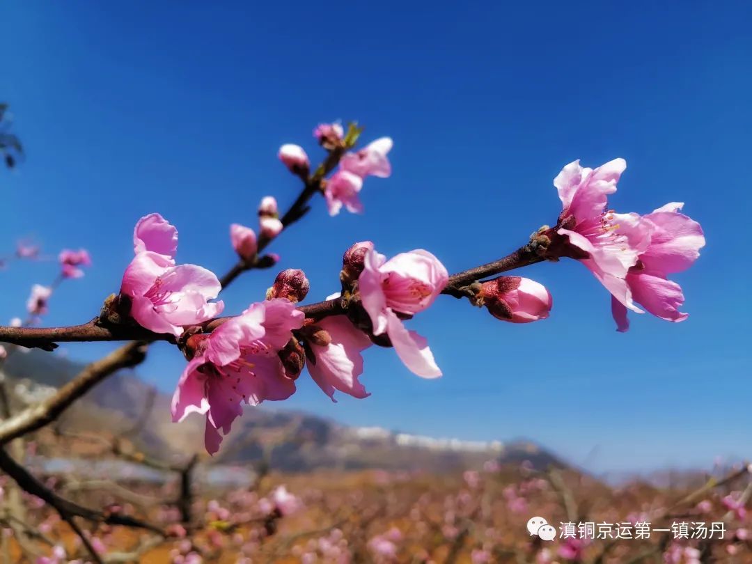 东川发布(微信)