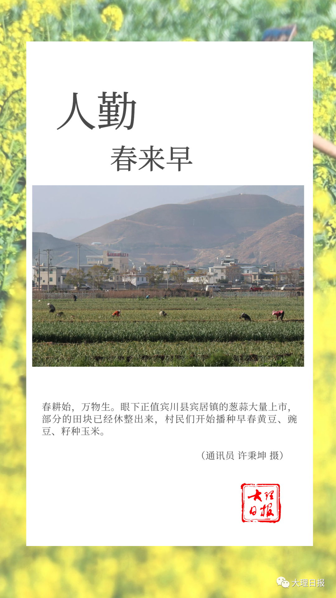 大理日报