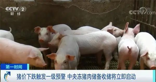 昆明信息港/cnkmxxg