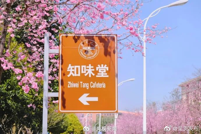 呈贡发布