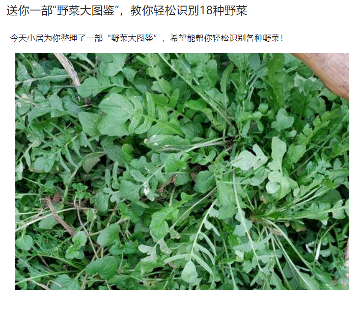 美丽云南微科普