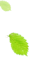 红河文旅