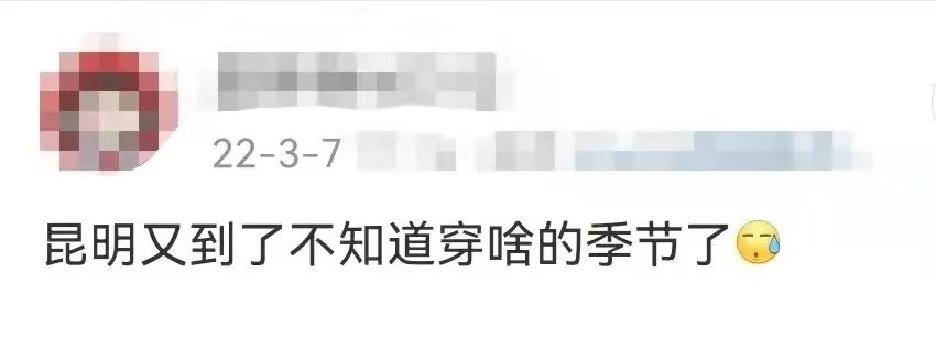 云南信息报