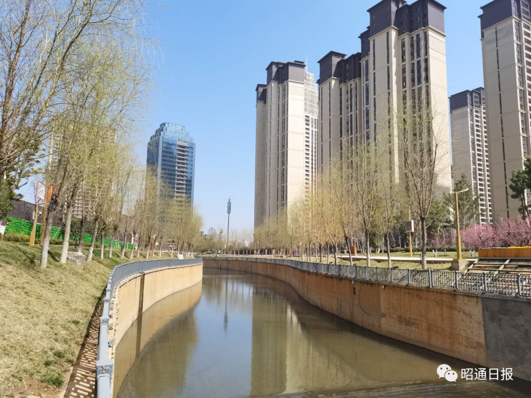 红色扎西