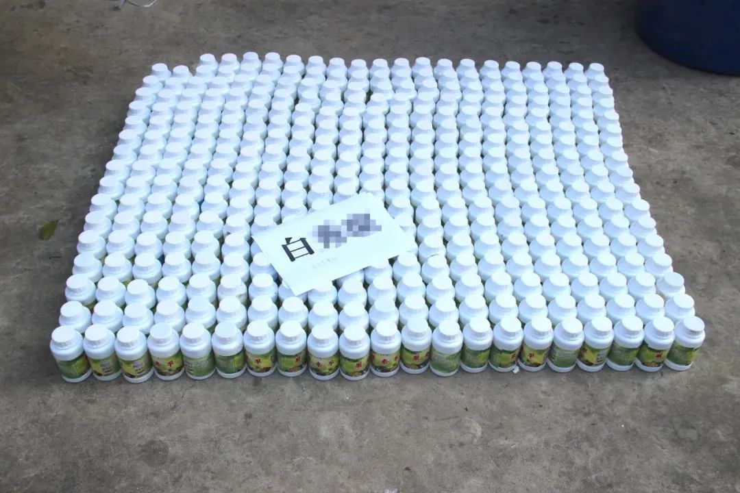 云南政法