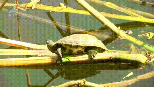 昆明信息港/cnkmxxg