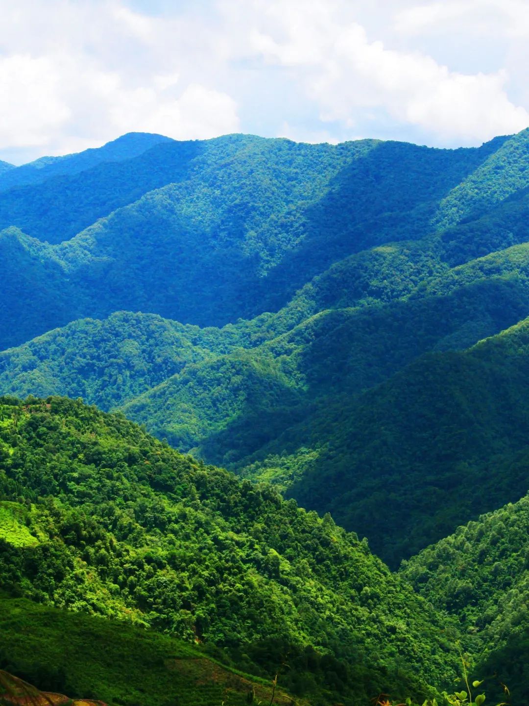 红河文旅