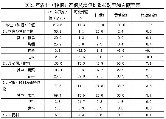 玉溪市人民政府