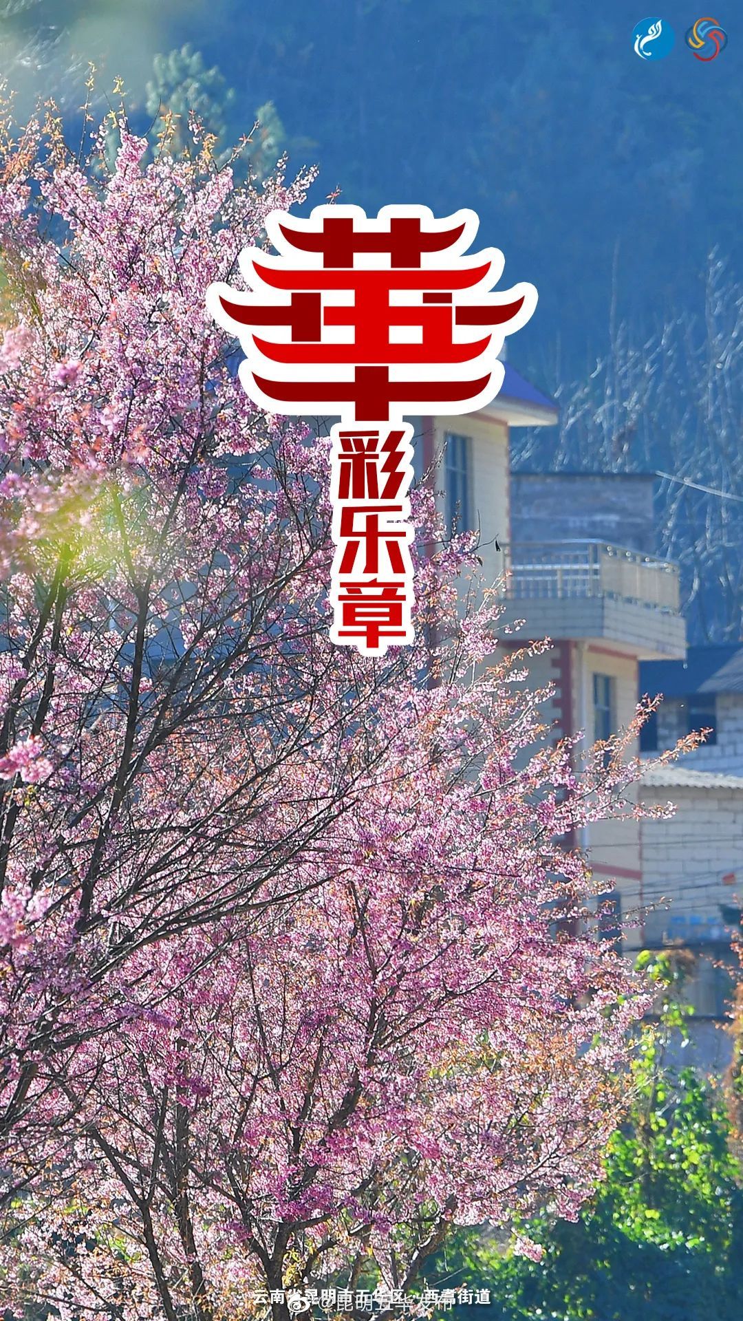 “昆明五华发布”微博