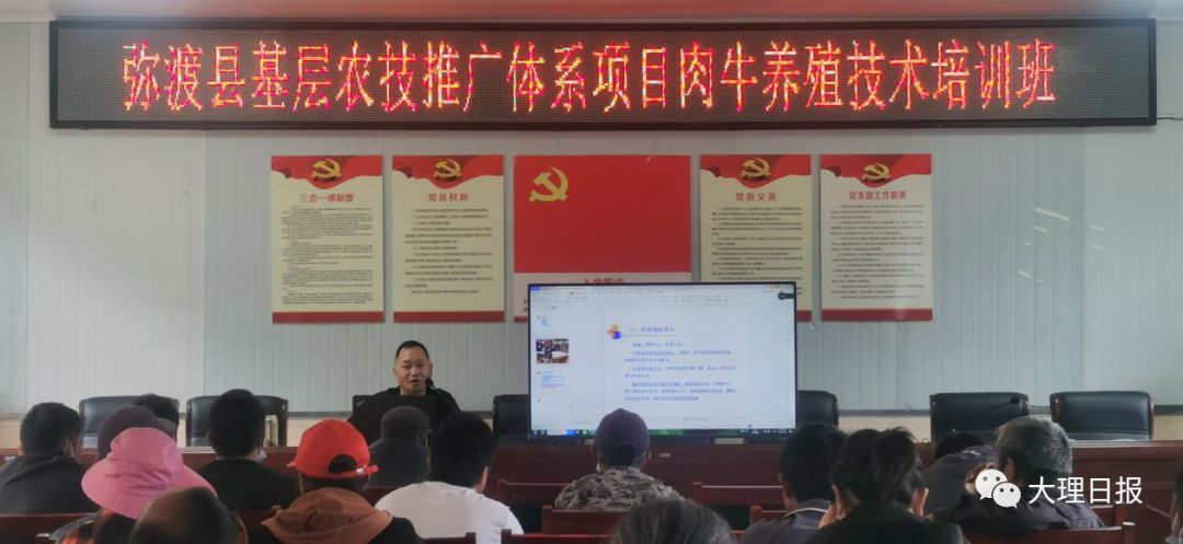 大理日报
