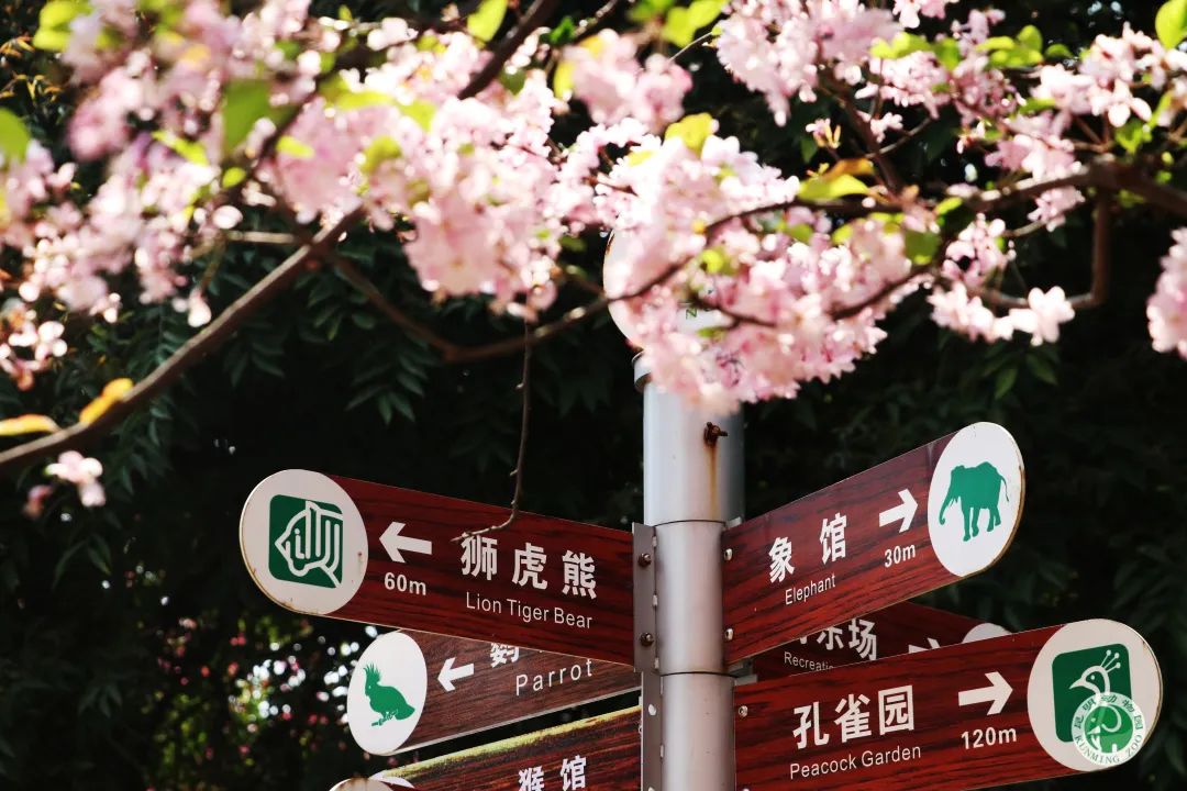 昆明动物园