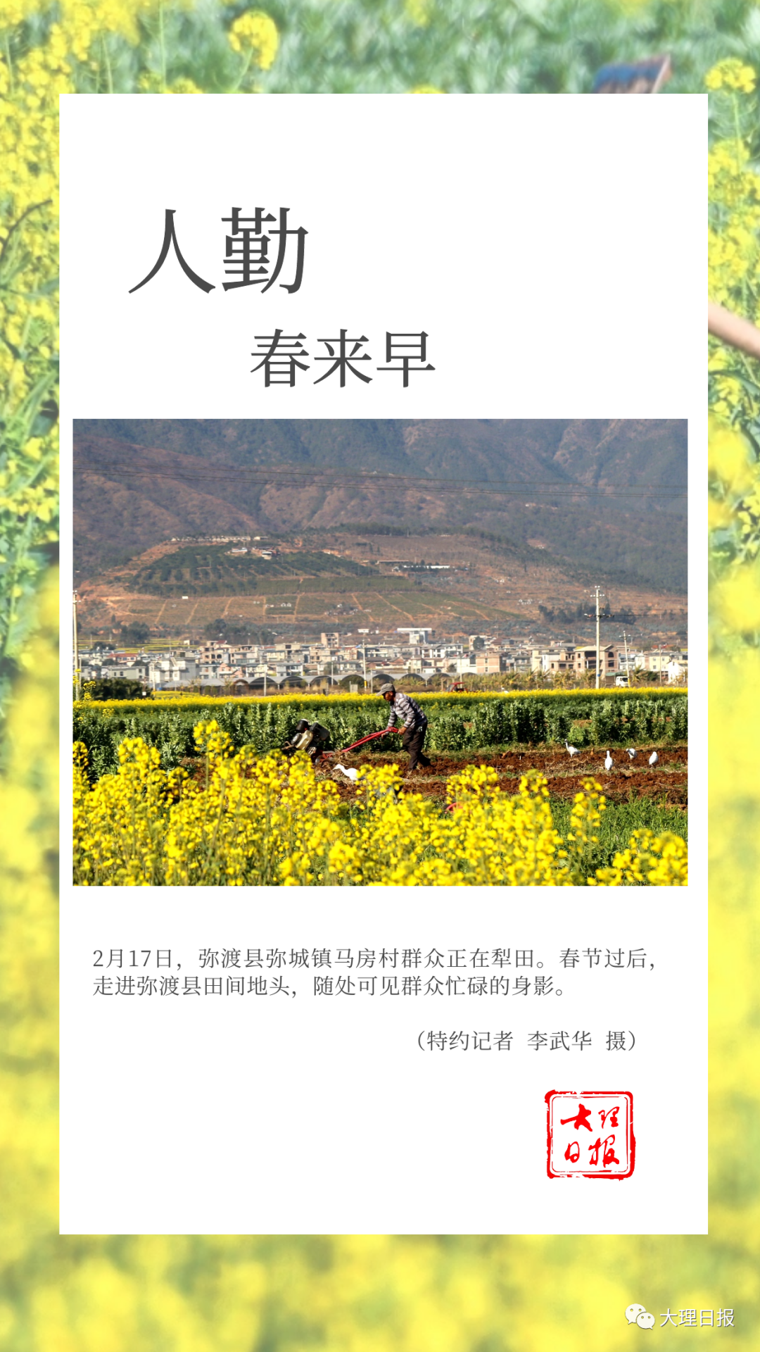 大理日报