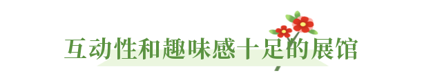 微丽江