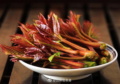 昆明信息港