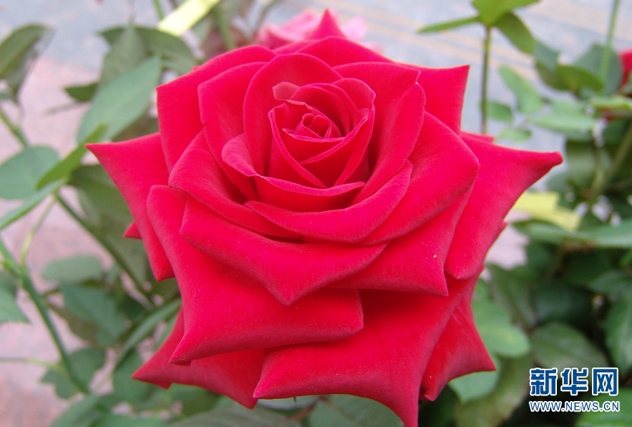 云南省文化和旅游厅