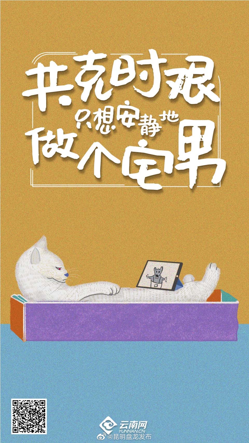 昆明盘龙发布