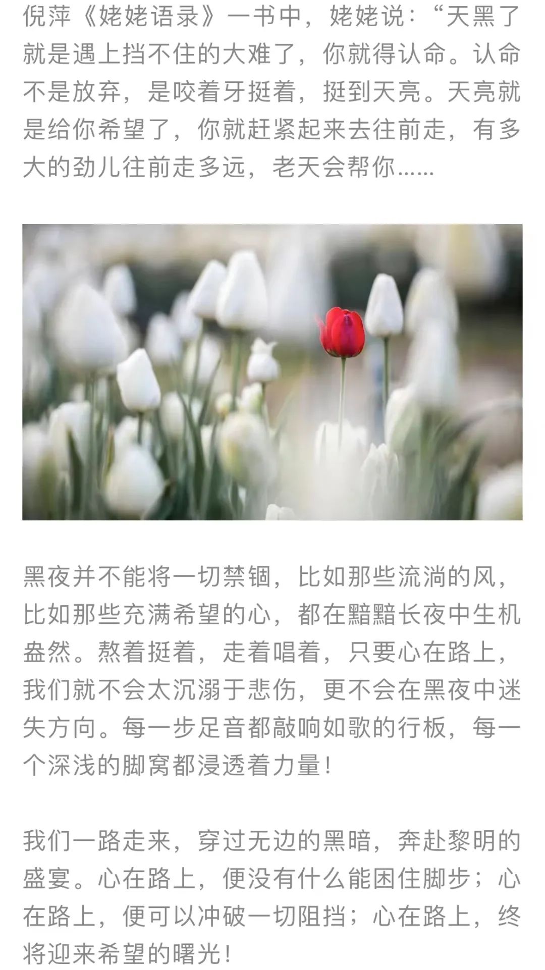 红色扎西