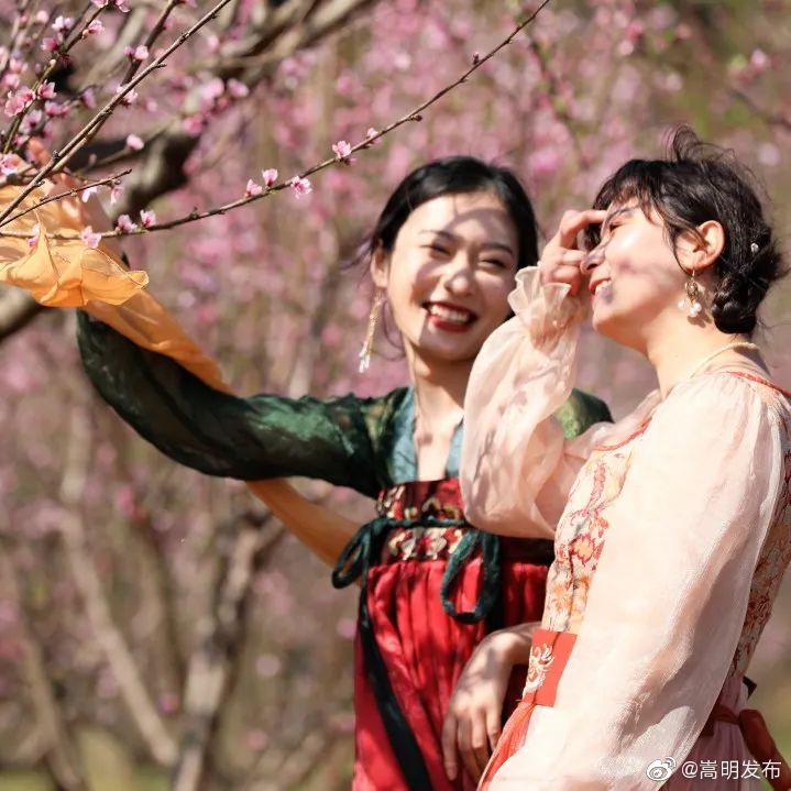 嵩明发布