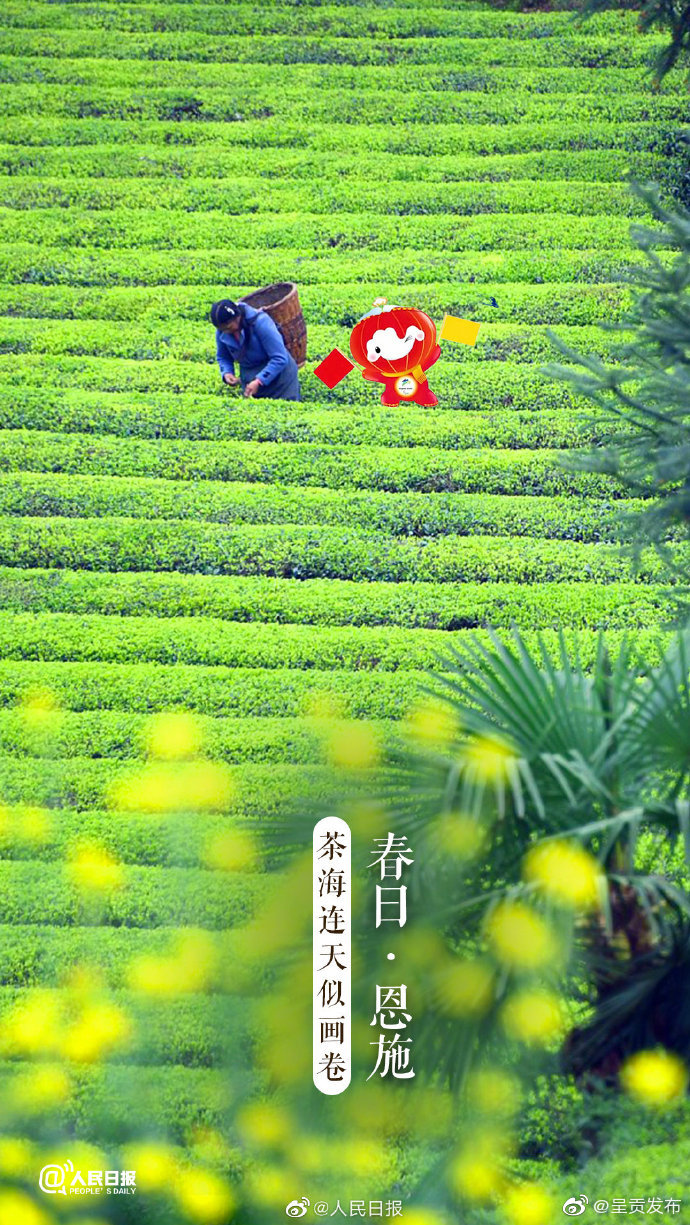 呈贡发布