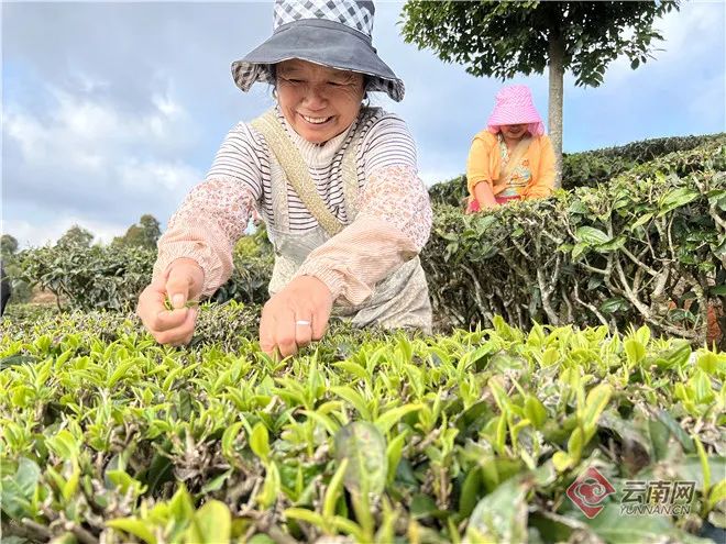 玉溪发布