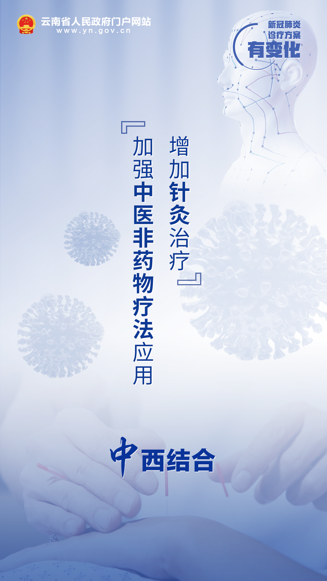 云南省人民政府网