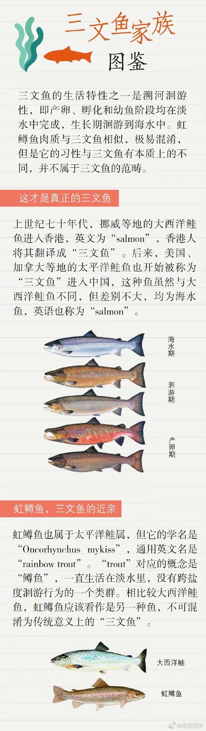 呈贡发布