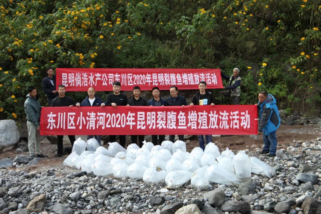 东川发布(微信)