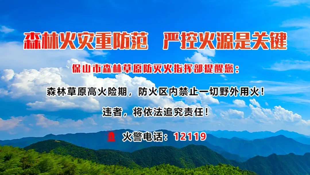 保山新闻网