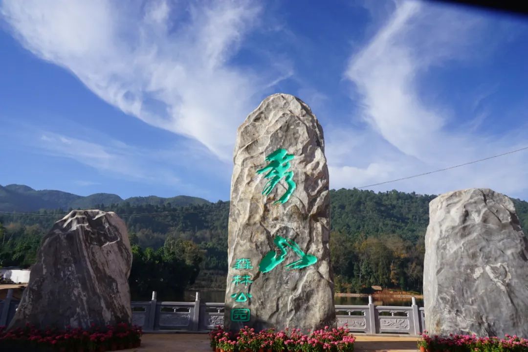 美丽云南微科普