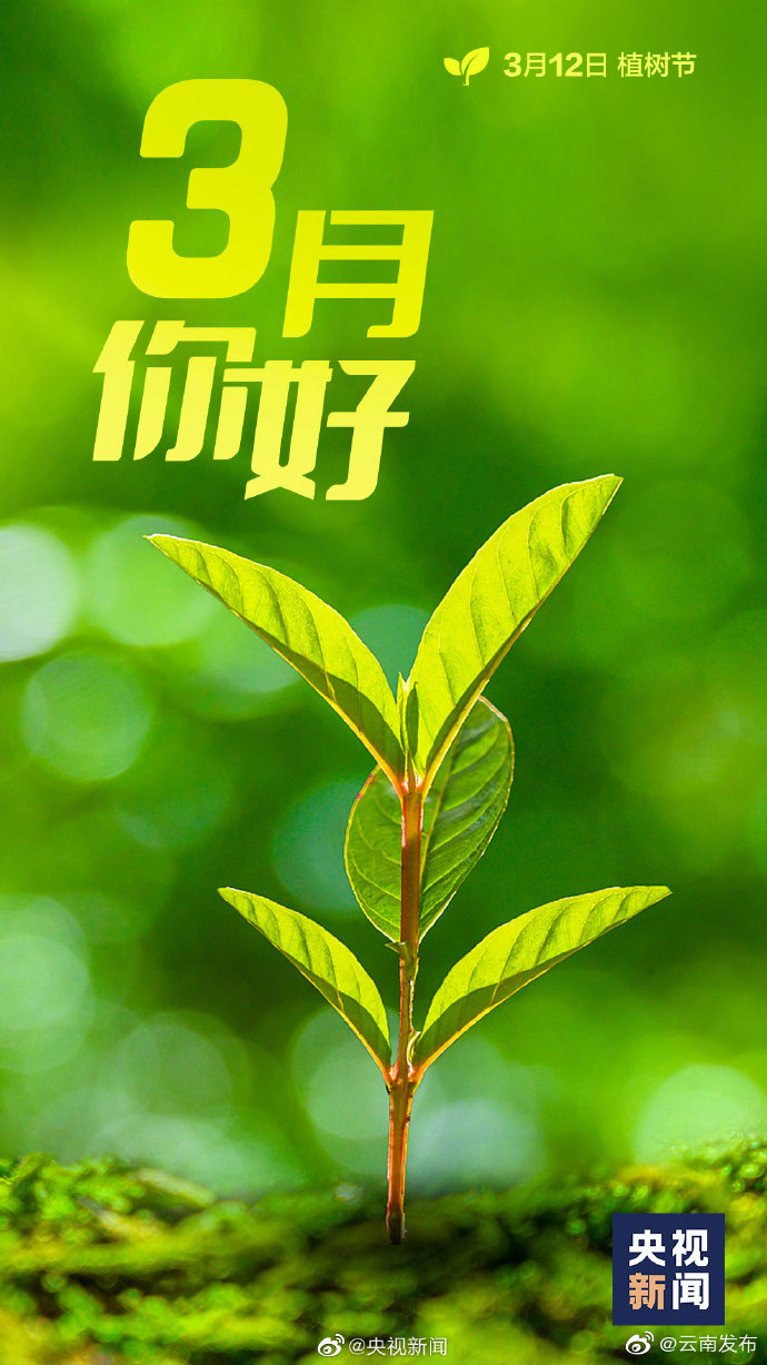 “云南发布”微博