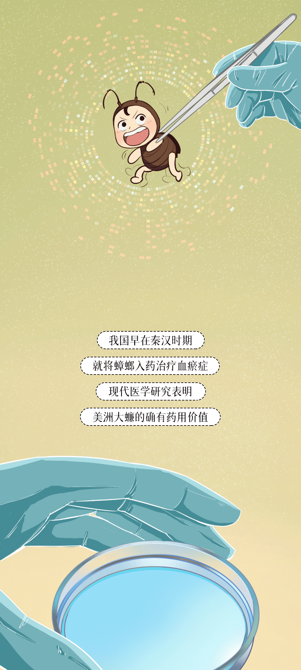 美丽云南微科普