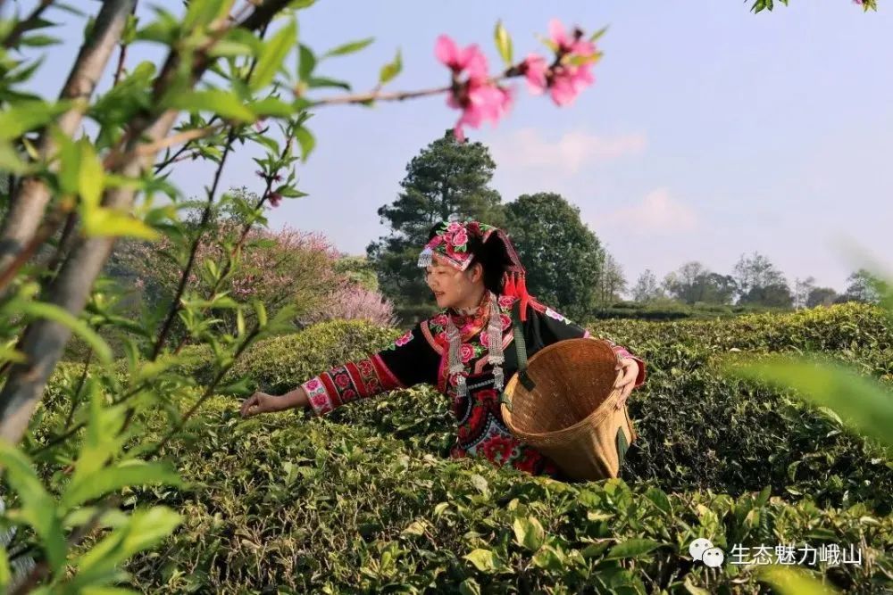 玉溪发布