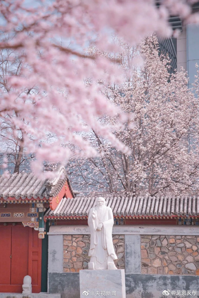 呈贡发布