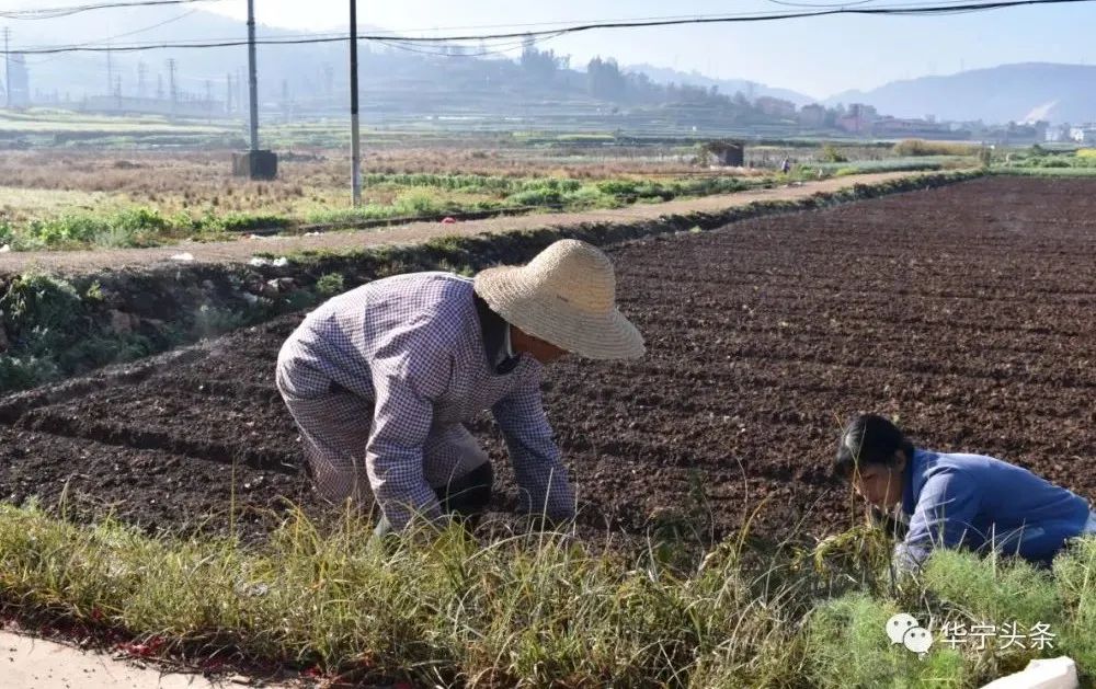 玉溪发布