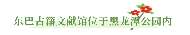 微丽江