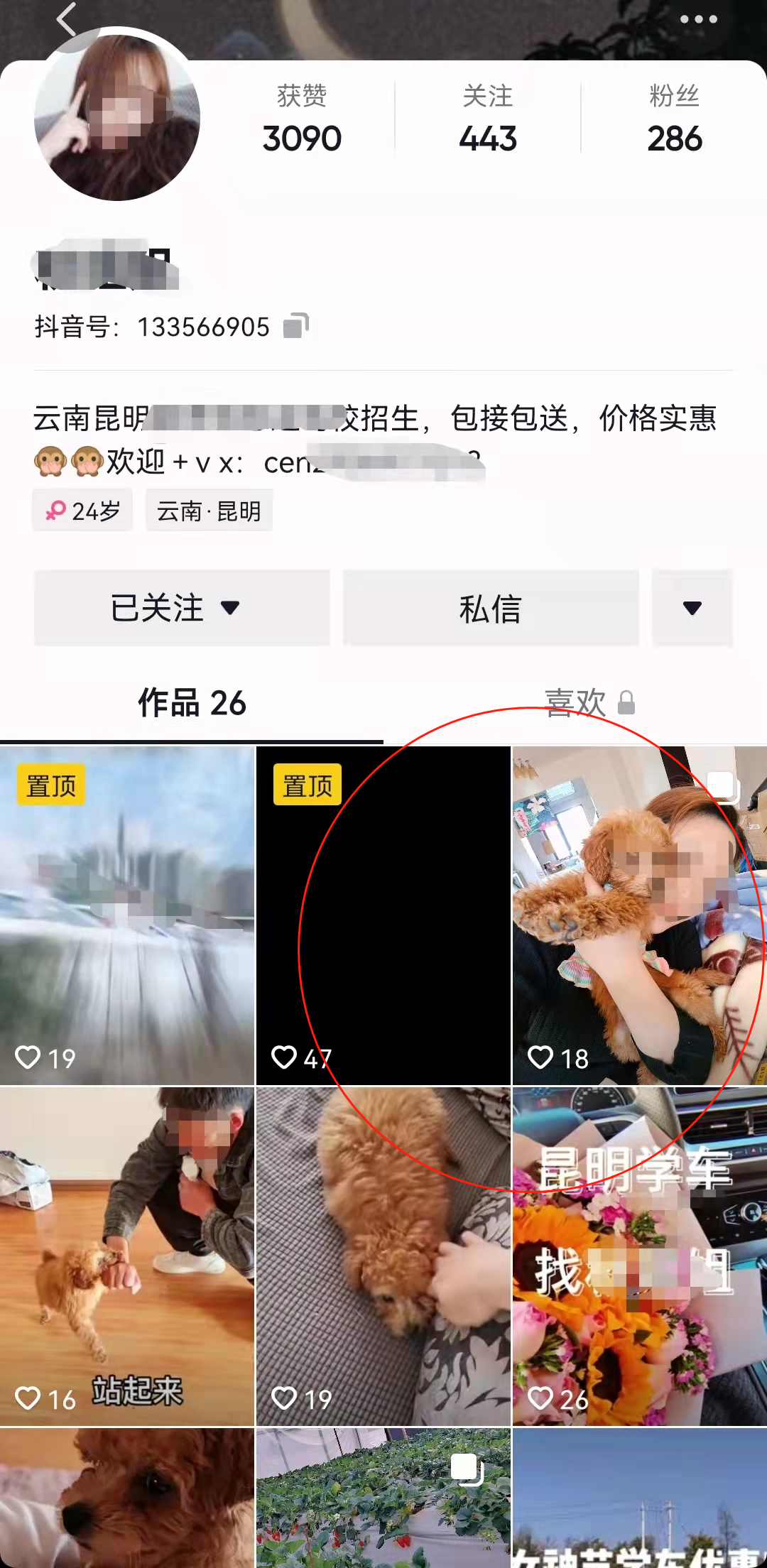 春城晚报