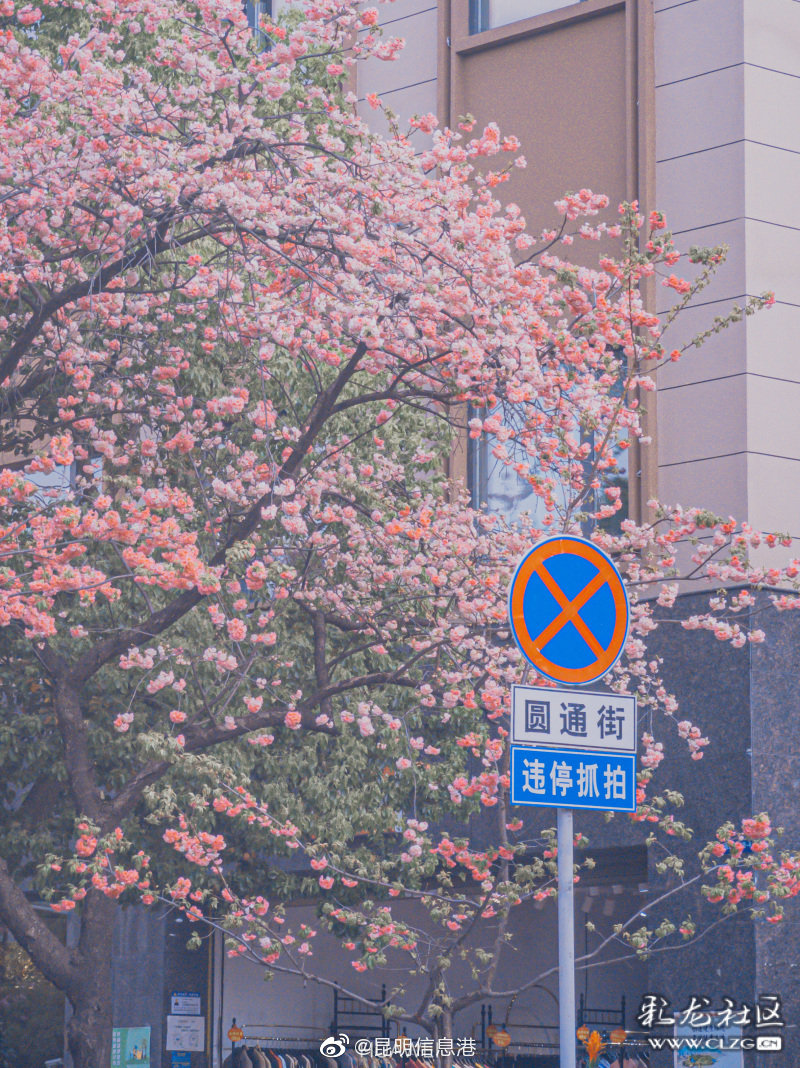 昆明信息港
