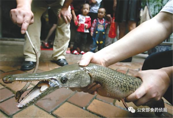 昆明信息港/cnkmxxg