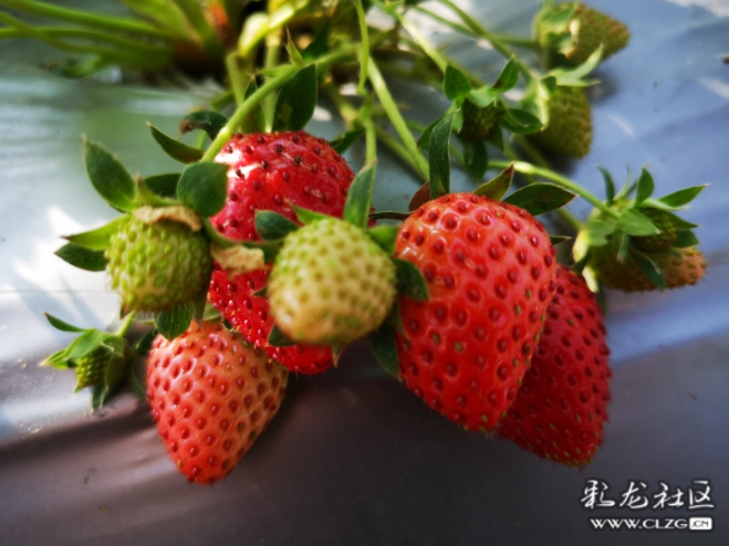 昆明信息港/cnkmxxg