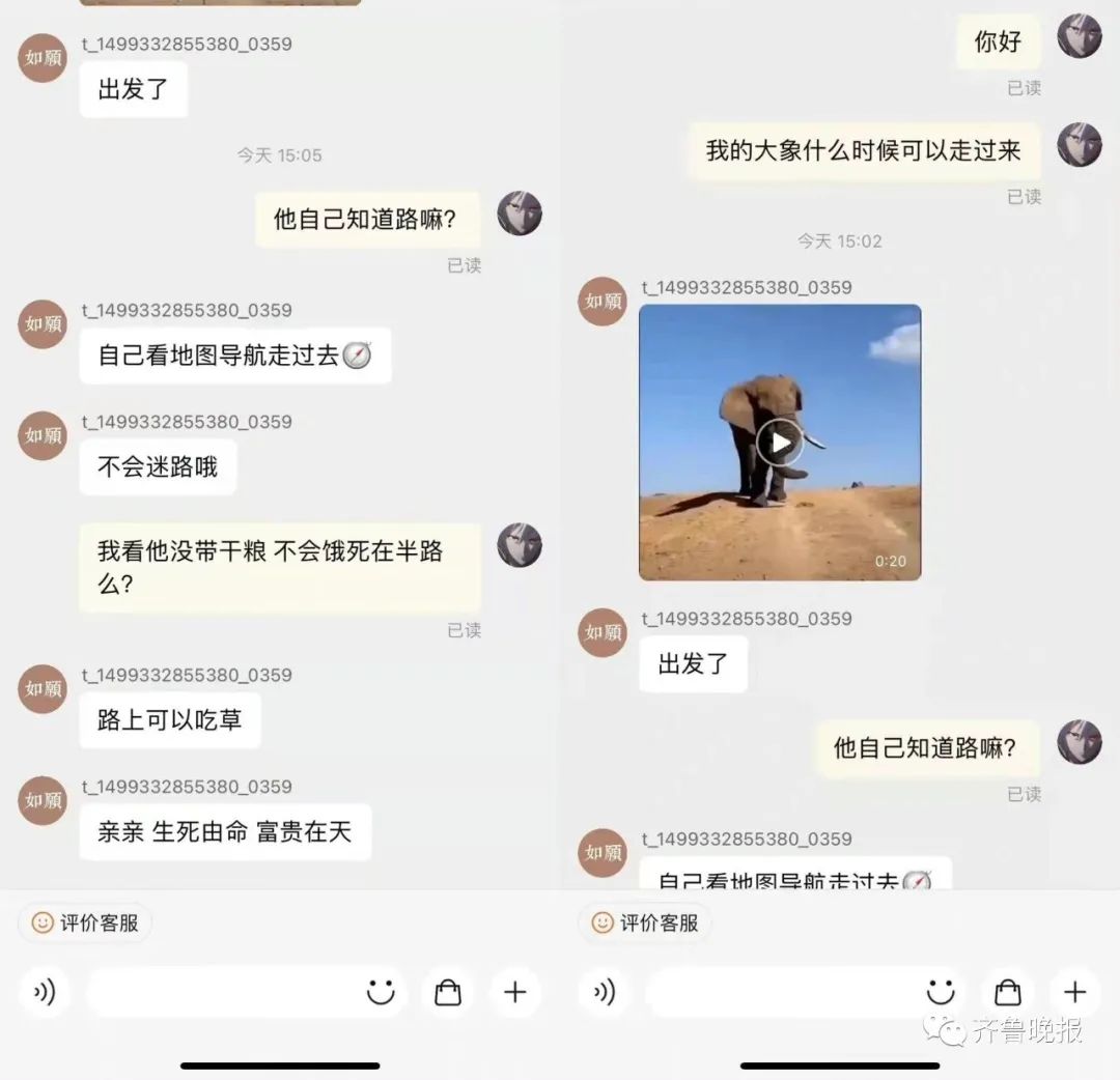 掌上春城微信公众号