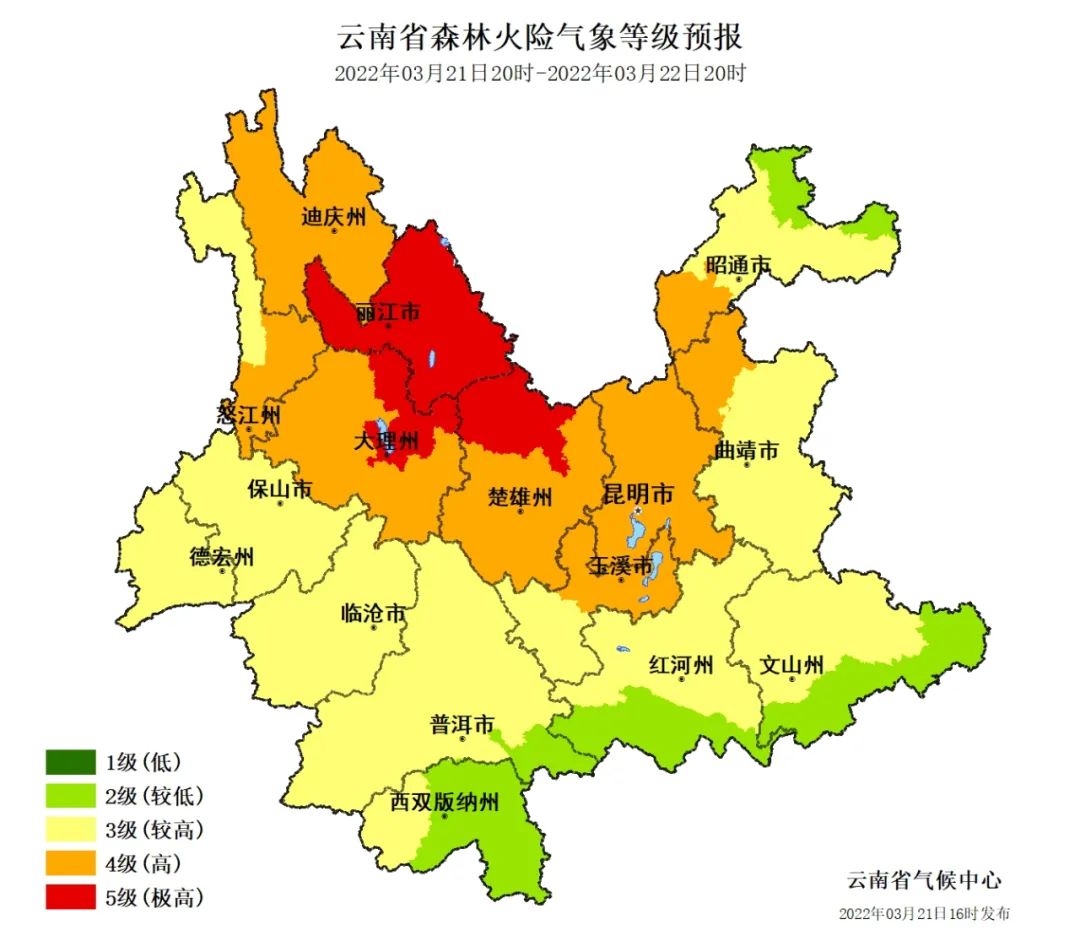 大理日报