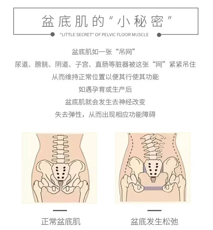 春城晚报