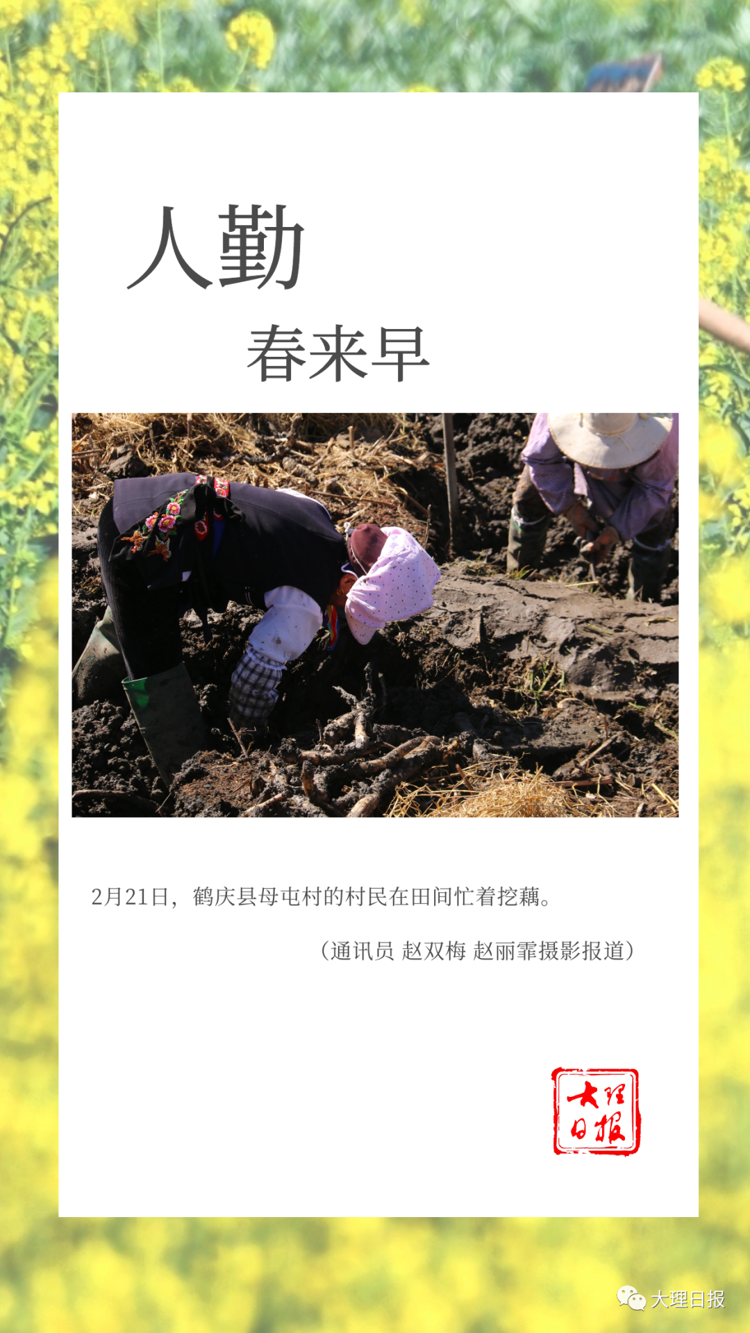 大理日报