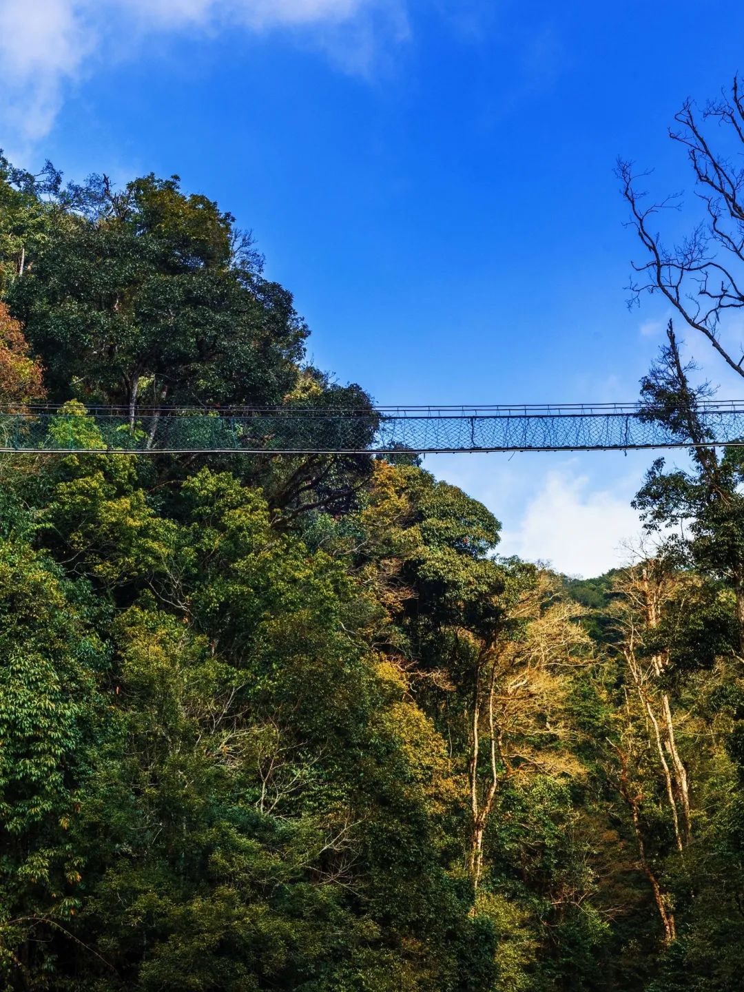 红河文旅