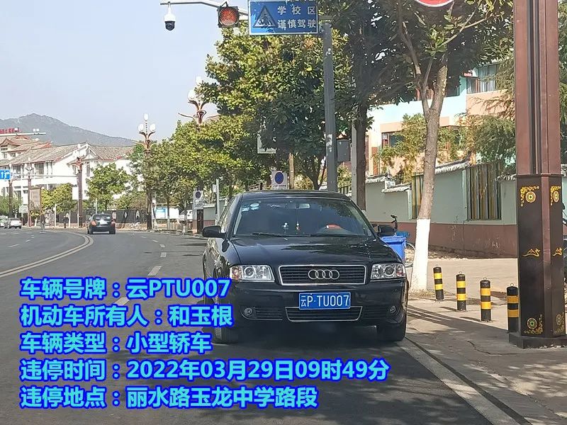 丽江日报