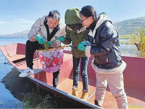 今年第一次调查结束 阳宗海采集到18种鱼类